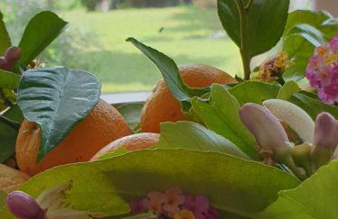 HOUSE SUITES DOMAINE - Foto 44