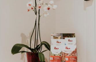 Casa La Picuda - Foto 47