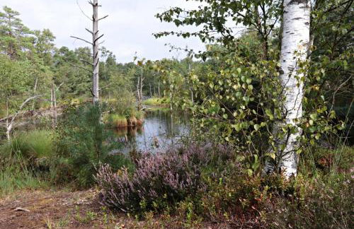 Ferienwohnungen / Ferienhaus Wahlers - Foto 11