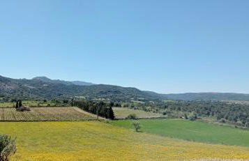 San Leonardo Country House - Foto 13