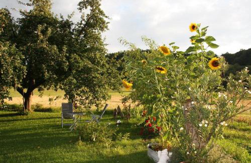 Ferienwohnungen Christine - Foto 49