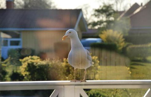 Strandpark 21 - Foto 16