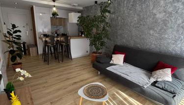 T2 lumineux l' Edelweiss pied du télécabine Prorel avec garage privé et sauna - Foto 4, furniture, pet friendly