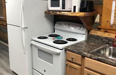 Lookout Mtn cabin with a view - Foto 19