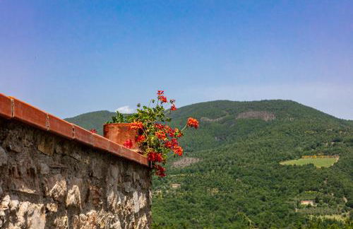 Casale Le Sette Vene - Photo 46