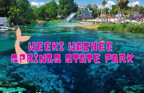 Bonne Nuit Weeki Wachee - Foto 28