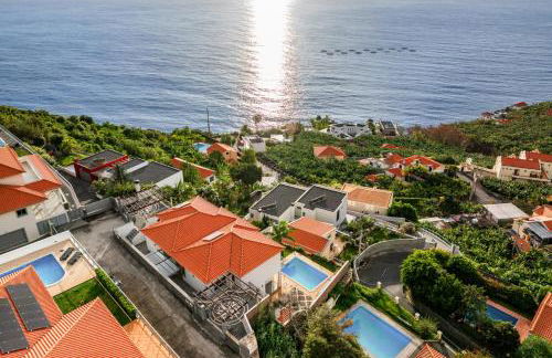 OurMadeira - Amaro Sol - Foto 26