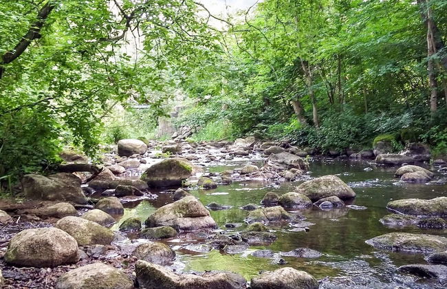 5 Person Holiday Home in Raa/helsingborg-by Traum - Photo 13