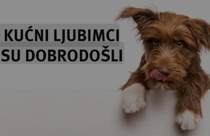 Timber valley - Foto 10