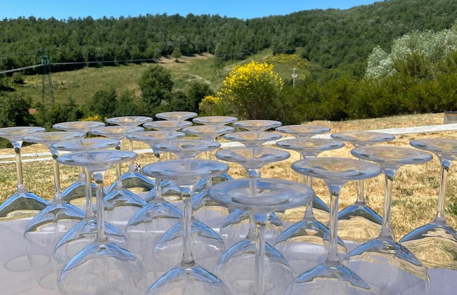 VIN Hotel - La Meridiana - Photo 70