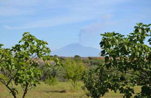 Elena House Castelluccio - Foto 27