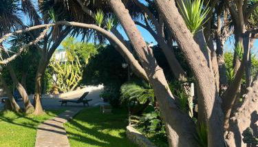 TERRA DI MARE LOC. TURISTICA - Foto 3, Garden