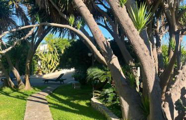 TERRA DI MARE LOC. TURISTICA - Foto 3