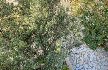 Apartments Ivana - Foto 17