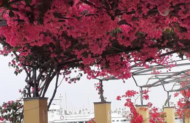 Idyllische Dachwohnung am Hafen von Porto Maurizio - Foto 14