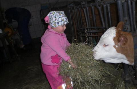 Öderbauer-Hof - Foto 8