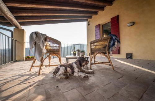 Agriturismo Borgoluce - Foto 89