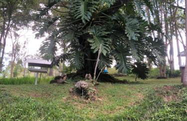 Chácara Privativa com Quadra de Beach Tennis - Foto 72