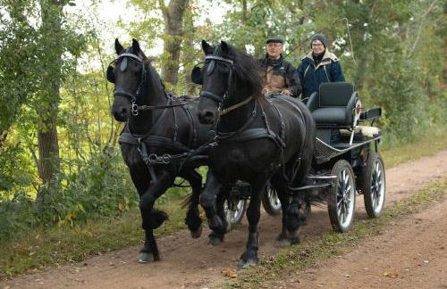 Ferienhof Martens - Foto 14