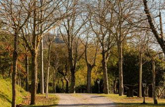 Agriturismo Le Cerque - Photo 82