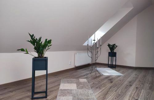 Willa Orle Gniazdo - Foto 38