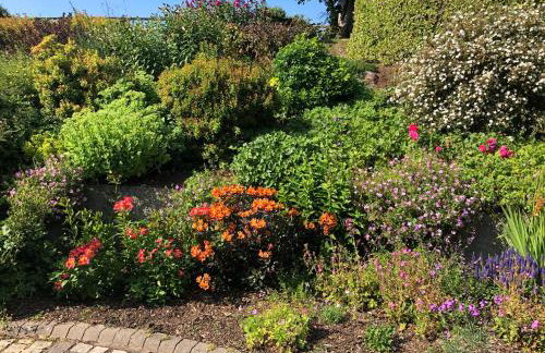 Hillcrest Cottage - Foto 19