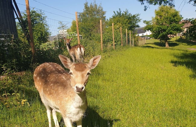 Cottage in Aywaille With Garden - Photo 30