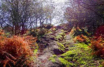 Just Like Home - Casa Antonio em Paredes de Coura - Foto 59