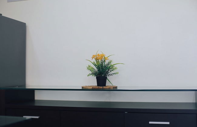 Remarkable 3-bed Apartment in Zanzibar - Photo 35