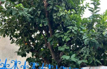 Hera's Hideaway - Foto 9