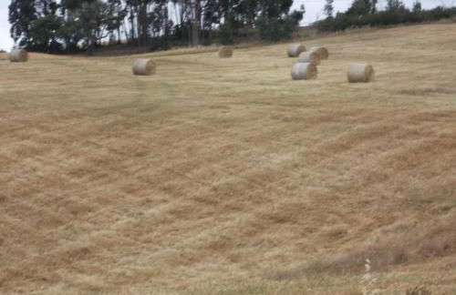 Courela do Salgueiro - Foto 27