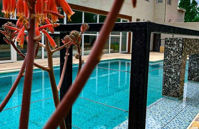 La Divina Pereza - Photo 53