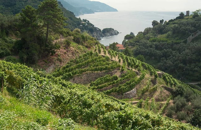 Agriturismo Buranco - Foto 7