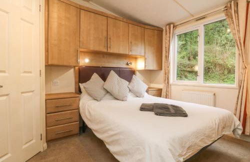 Exe Valley Lodge - Foto 8