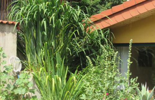 Ferienwohnung "Eifelstueffje" - Foto 35