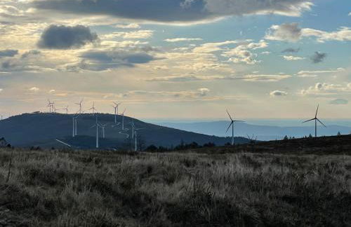 Quinta do Areal - Foto 55