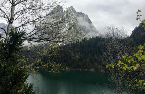 Apartament familiar - Els Encantats - Espot - Photo 17