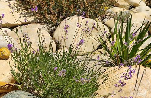 La Pigoussette - Photo 50