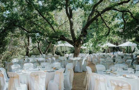 Cortijo De Ramón - Foto 45