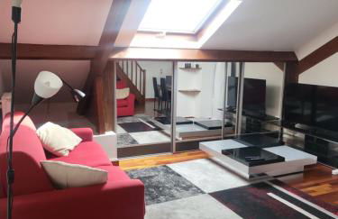 GRAND DUPLEX proche de PARIS - Foto 1