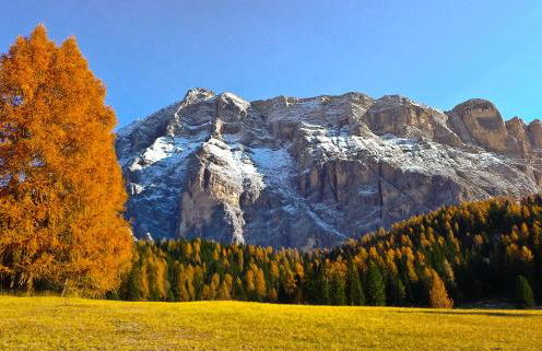 Apartment Ciasa Laoi - Foto 74