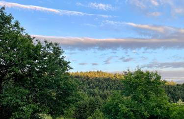 Klimatyczny dom z widokiem na Babią - kominek i ogrodzenie - Foto 38
