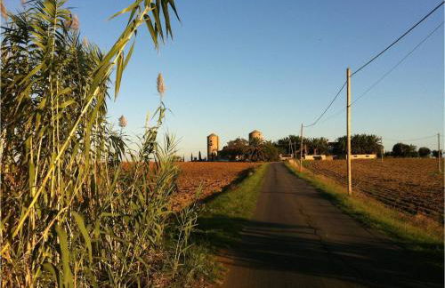 B&B Corte degli Struzzi - Foto 14