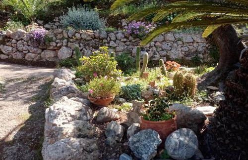 Cottage Pura Vigna immerso nella natura vicino al mare - Foto 17