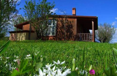 Villa Rustica - Photo 113