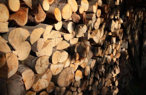 Rezydencja Pod Platanem - Photo 9