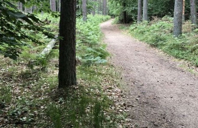 Fabian Comfortable Holiday Residence - Photo 29