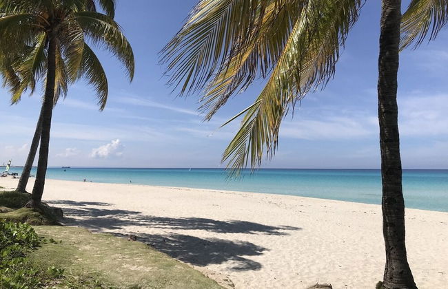 Casa Marlin - Foto 43