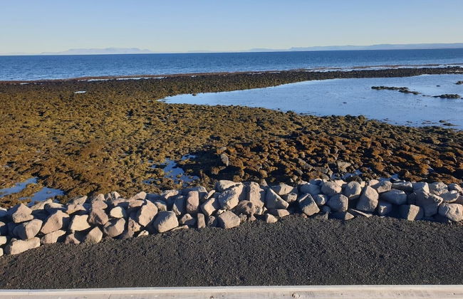 Bay View Apartments - Foto 66