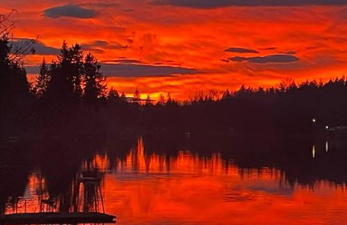 Unique Waterfront Cottage 34 Mi To Mt Rainier - Foto 21